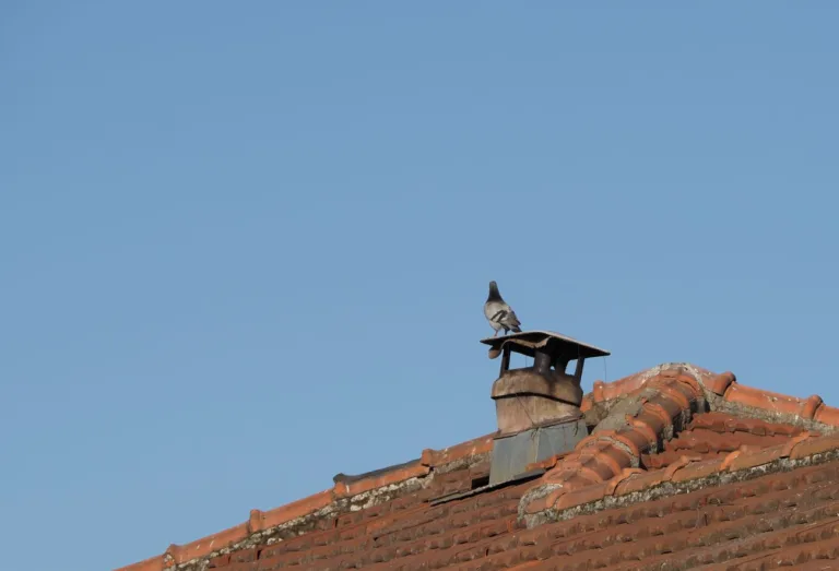 Daszki kominowe napoleońskie – stylowe i funkcjonalne rozwiązanie dachowe